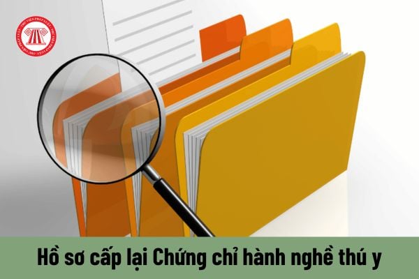 Hồ sơ cấp lại Chứng chỉ hành nghề thú y có bắt buộc phải có Chứng chỉ đã được cấp không?