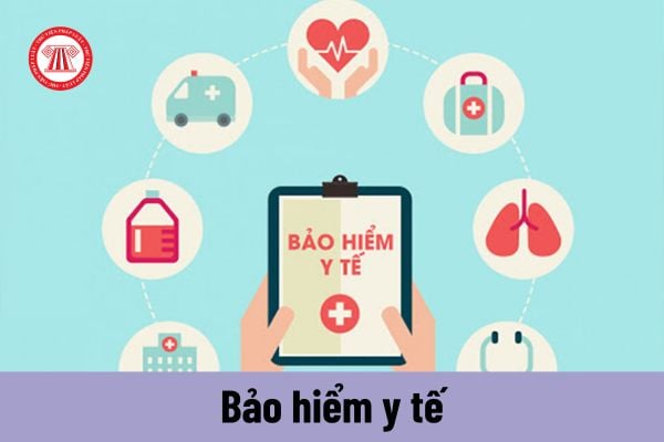 Thuyền viên làm việc trên tàu biển thuộc đối tượng tham gia bảo hiểm y tế khi nào?