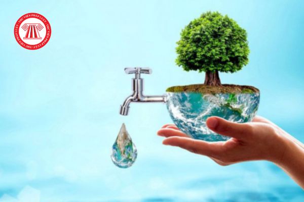 Người phụ trách kỹ thuật của tổ chức cung cấp dịch vụ về tài nguyên nước phải đáp ứng những yêu cầu nào?