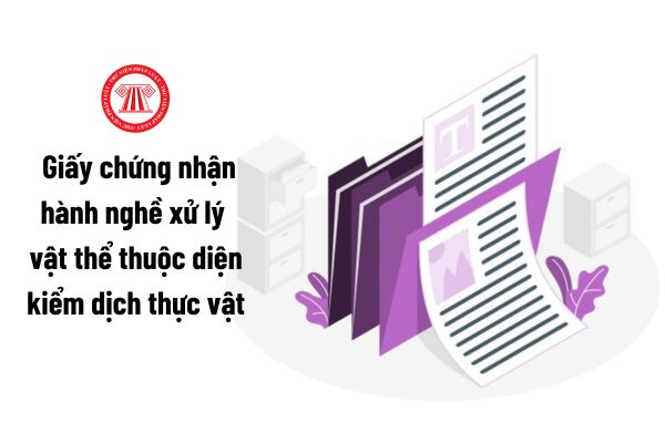 Giấy chứng nhận hành nghề xử lý vật thể thuộc diện kiểm dịch thực vật được cấp lại trong trường hợp nào?