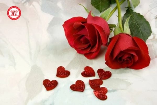 Rose Day là ngày gì? Người lao động có được nghỉ làm vào ngày này không?