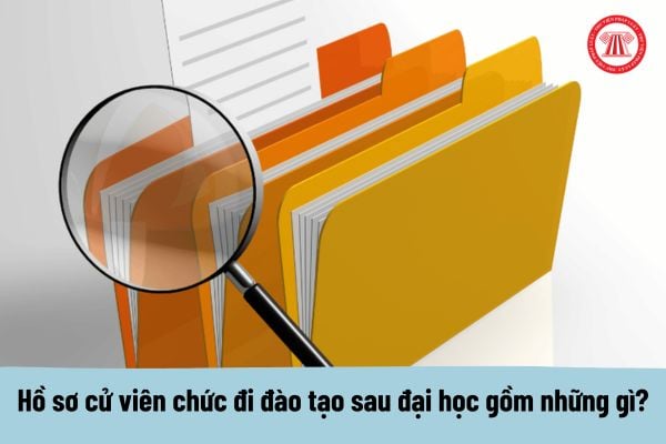 Hồ sơ cử viên chức Bộ Khoa học và Công nghệ đi đào tạo sau đại học gồm những gì?