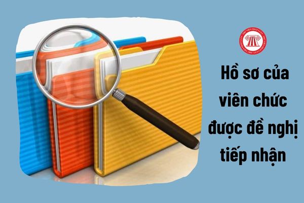 Hồ sơ của viên chức được đề nghị tiếp nhận vào Thanh tra Chính phủ gồm những gì?