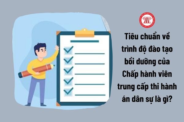 Tiêu chuẩn mới nhất về trình độ đào tạo bồi dưỡng của Chấp hành viên trung cấp thi hành án dân sự là gì?