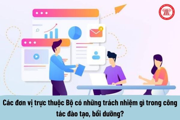 Các đơn vị trực thuộc Bộ Khoa học và Công nghệ có những trách nhiệm gì trong công tác đào tạo, bồi dưỡng của Bộ?