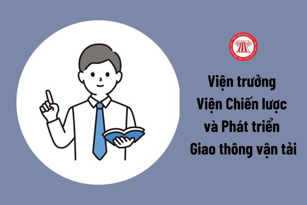 Viện trưởng Viện Chiến lược và Phát triển Giao thông vận tải cần có trình độ tiến sĩ đúng không?