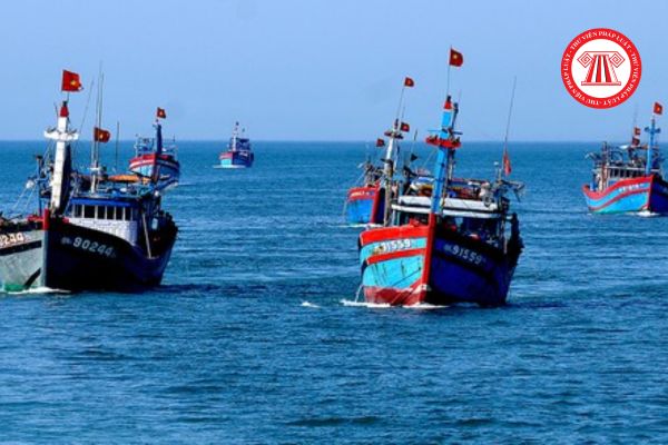 Giấy phép khai thác thủy sản sẽ bị xử lý ra sao khi tiến hành khai thác trái phép ngoài vùng biển Việt Nam?