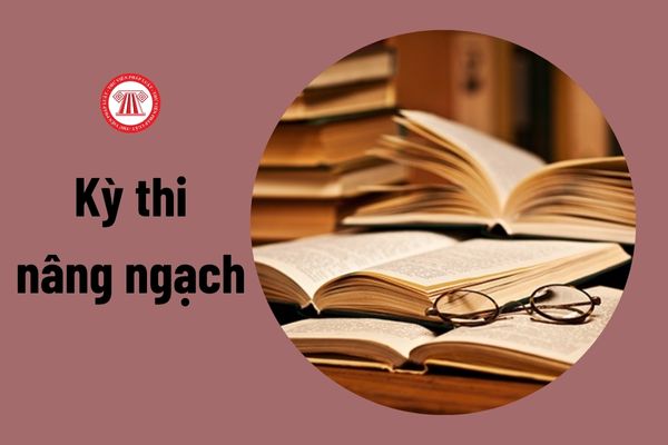 Trong kỳ thi nâng ngạch, công chức có bằng tốt nghiệp chuyên ngành công nghệ thông tin thì được miễn thi môn tin học đúng không?