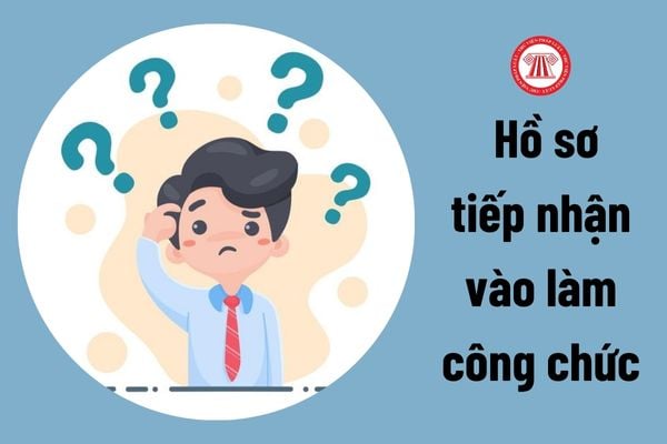 Hồ sơ của người được đề nghị tiếp nhận vào làm công chức tại Thanh tra Chính phủ gồm những gì?