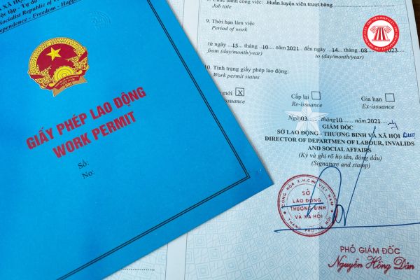 Du học sinh thực tập tại Việt Nam có phải xin giấy phép lao động không?