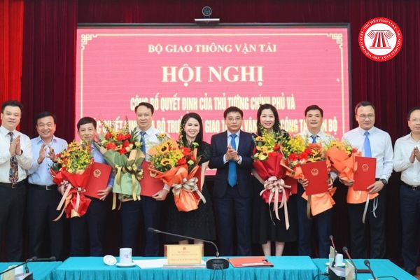 Phó Viện trưởng Viện Chiến lược và Phát triển giao thông vận tải chịu trách nhiệm trước ai?