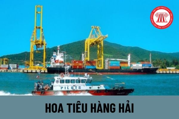 Hoa tiêu là gì? Điều kiện để trở thành hoa tiêu hàng hải gồm những gì?