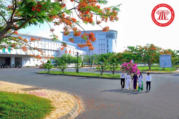 Công bố điểm chuẩn Trường Đại học An Giang (AGU) 2024 cụ thể ra sao? Trình độ tối thiểu của giảng viên đại học là gì?