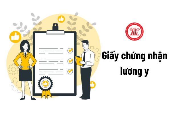 Ai có thẩm quyền cấp lại giấy chứng nhận lương y?