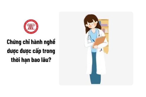 Chứng chỉ hành nghề dược được cấp trong thời hạn bao lâu?