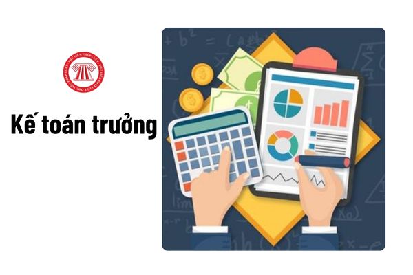 Kế toán trưởng cần có thời gian công tác thực tế về kế toán bao lâu?