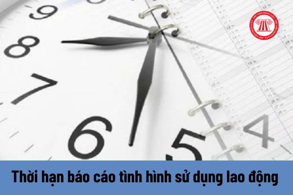Thời hạn tổ chức nước ngoài tại Việt Nam báo cáo tình hình sử dụng lao động Việt Nam là khi nào?