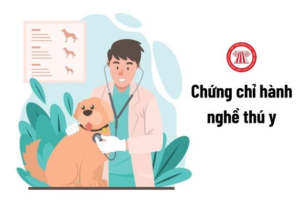 Thời hạn cấp Chứng chỉ hành nghề thú y là bao lâu?