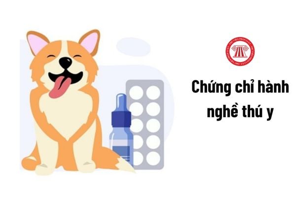 Để được cấp Chứng chỉ hành nghề thú y thì người buôn bán thuốc thú y phải có chuyên môn ra sao?