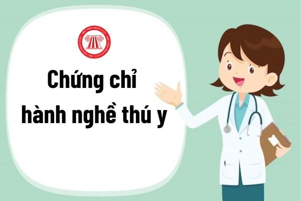 Người đang bị kỷ luật có được cấp Chứng chỉ hành nghề thú y không?