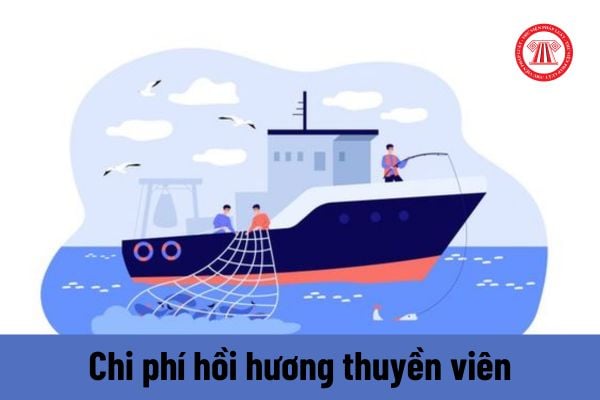 Chủ tàu biển có phải thanh toán tiền lương trong thời gian thuyền viên hồi hương không?