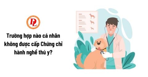 Trường hợp nào cá nhân không được cấp Chứng chỉ hành nghề thú y?