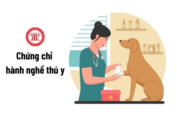 Hồ sơ cấp lại Chứng chỉ hành nghề thú y gồm những gì?