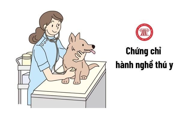 Cơ quan nào có thẩm quyền thu hồi Chứng chỉ hành nghề thú y?