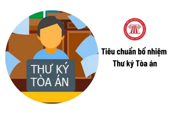 Từ 01/01/2025, tiêu chuẩn bổ nhiệm Thư ký Tòa án là gì?