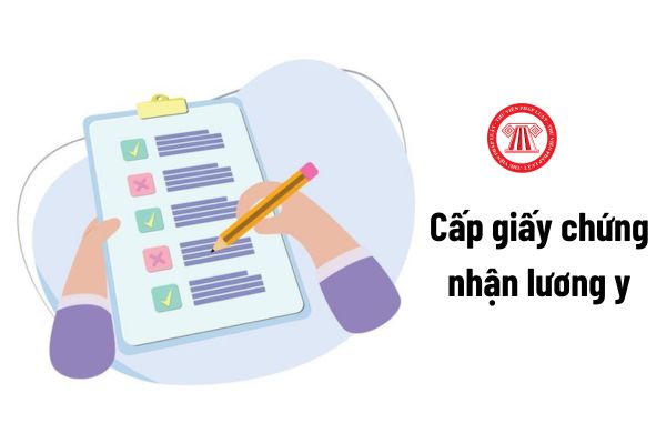 Việc cấp giấy chứng nhận lương y đối với người đã tham gia khám bệnh, chữa bệnh được thực hiện theo trình tự ra sao?