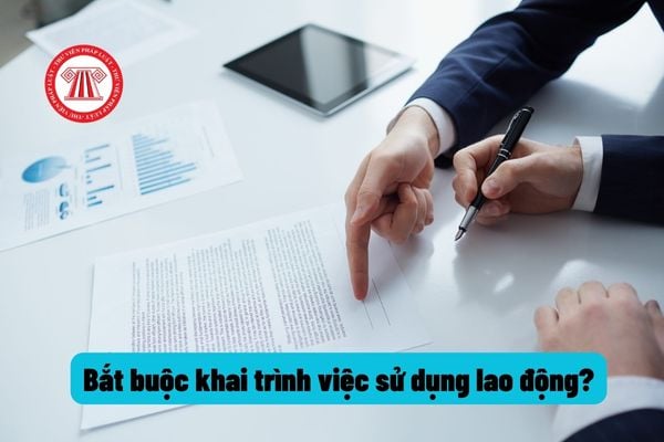 Không khai trình việc sử dụng lao động có bị coi là vi phạm không?