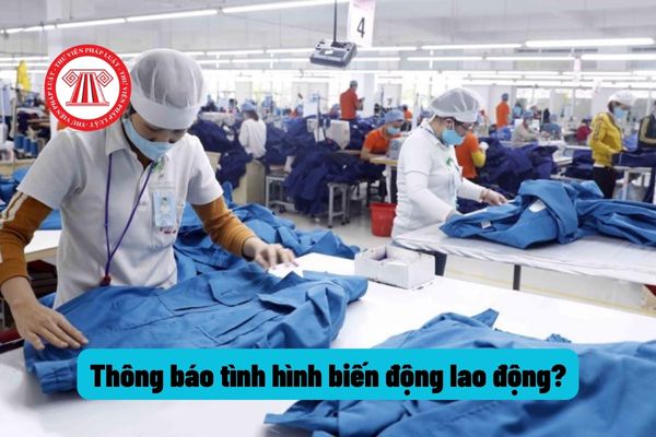 Không thông báo tình hình biến động lao động tại đơn vị làm việc thì người sử dụng lao động bị xử phạt ra sao?