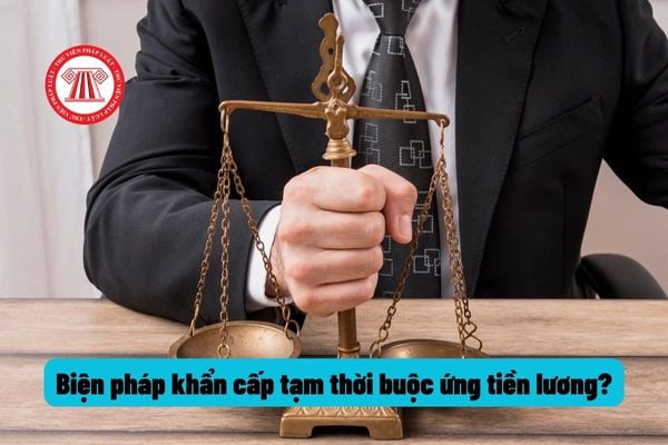 Có được buộc người sử dụng lao động tạm ứng tiền lương trong quá trình giải quyết tranh chấp tại Tòa án không?