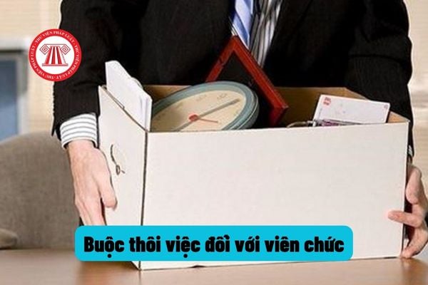 Bị buộc thôi việc thì viên chức có được làm việc tại các cơ quan của Nhà nước?