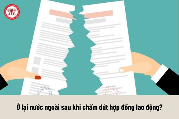 Người lao động Việt Nam tự ý ở lại nước ngoài sau khi chấm dứt hợp đồng lao động thì bị xử phạt ra sao?