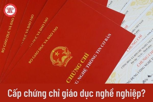 Cho người khác sử dụng chứng chỉ giáo dục nghề nghiệp của mình thì bị xử phạt như thế nào?