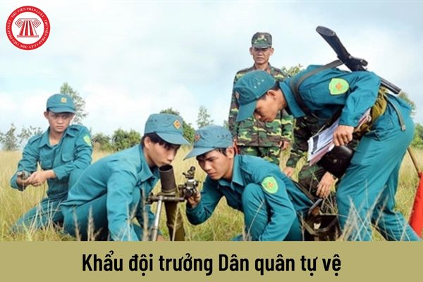 Khẩu đội trưởng Dân quân tự vệ được nhận mức phụ cấp chức vụ chỉ huy là bao nhiêu?