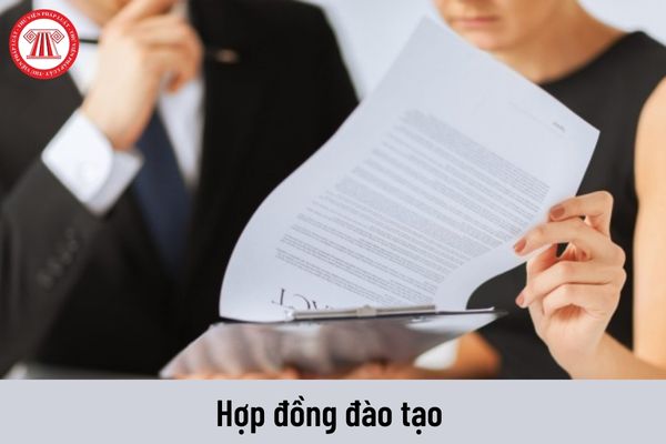 Người học nghề thì có được ký hợp đồng đào tạo không?