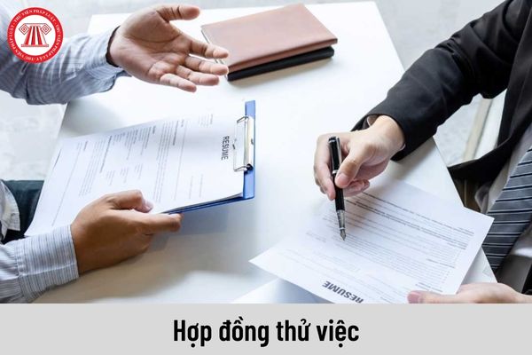 Người sử dụng lao động có được chấm dứt hợp đồng thử việc trước thời hạn với người lao động không?