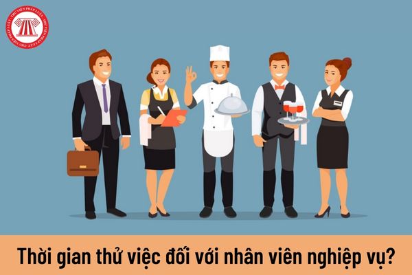 Thời gian thử việc đối với nhân viên nghiệp vụ là bao lâu?