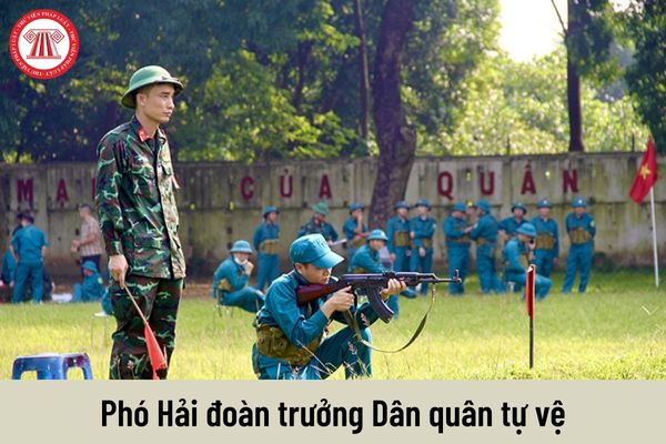 Mức phụ cấp chức vụ chỉ huy Dân quân tự vệ của Phó Hải đoàn trưởng là bao nhiêu?