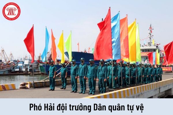 Mức phụ cấp chức vụ chỉ huy Dân quân tự vệ đối với Phó Hải đội trưởng hiện nay là bao nhiêu?