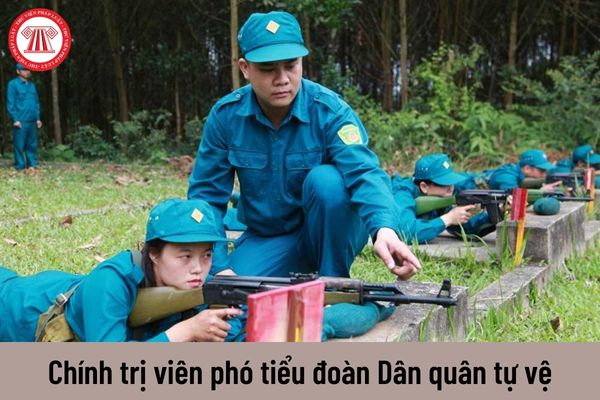 Chính trị viên phó tiểu đoàn được nhận mức phụ cấp chức vụ chỉ huy Dân quân tự vệ là bao nhiêu?