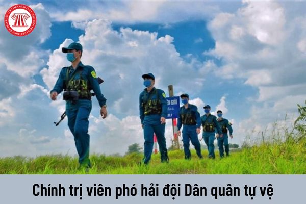 Mức phụ cấp chức vụ chỉ huy Dân quân tự vệ đối với Chính trị viên phó hải đội hiện nay là bao nhiêu?