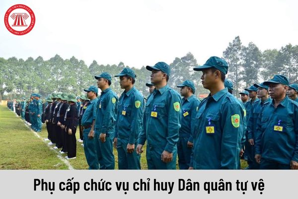 Chính trị viên phó hải đoàn có được nhận phụ cấp chức vụ chỉ huy Dân quân tự vệ không?