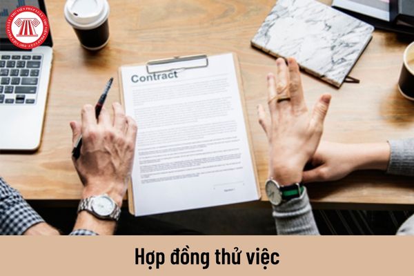 Hợp đồng thử việc gồm những nội dung chủ yếu nào?