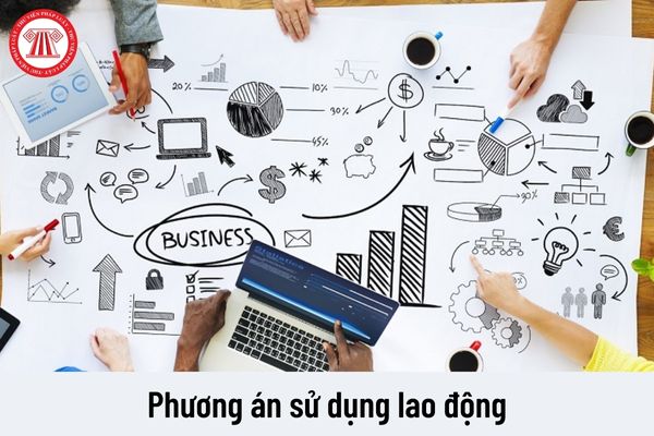 Chuyển nhượng quyền sử dụng tài sản của doanh nghiệp thì có phải xây dựng phương án sử dụng lao động không?