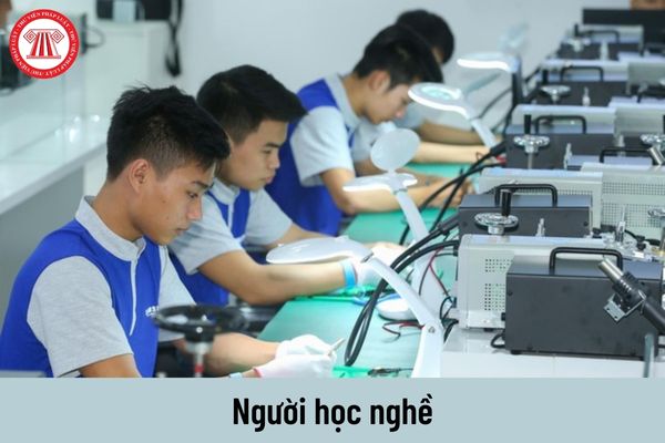 Người sử dụng lao động có được thu học phí của người học nghề không?