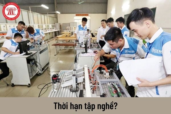 Thời hạn tập nghề là bao nhiêu lâu? 