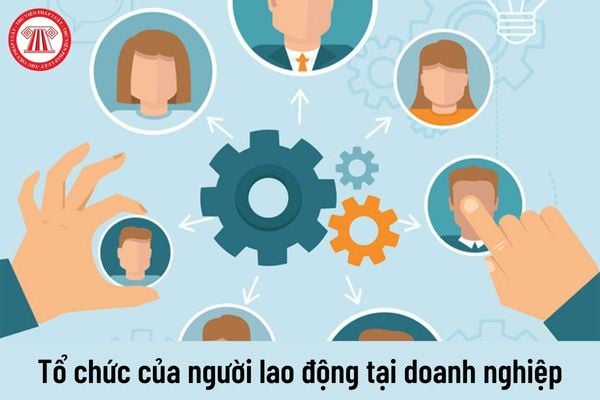 Người đang chấp hành hình phạt thì có được làm thành viên ban lãnh đạo tổ chức của người lao động tại doanh nghiệp không?